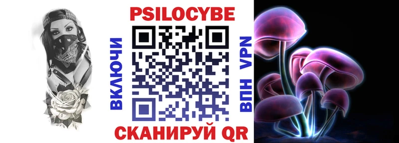 Галлюциногенные грибы Psilocybe  Юрьев-Польский 